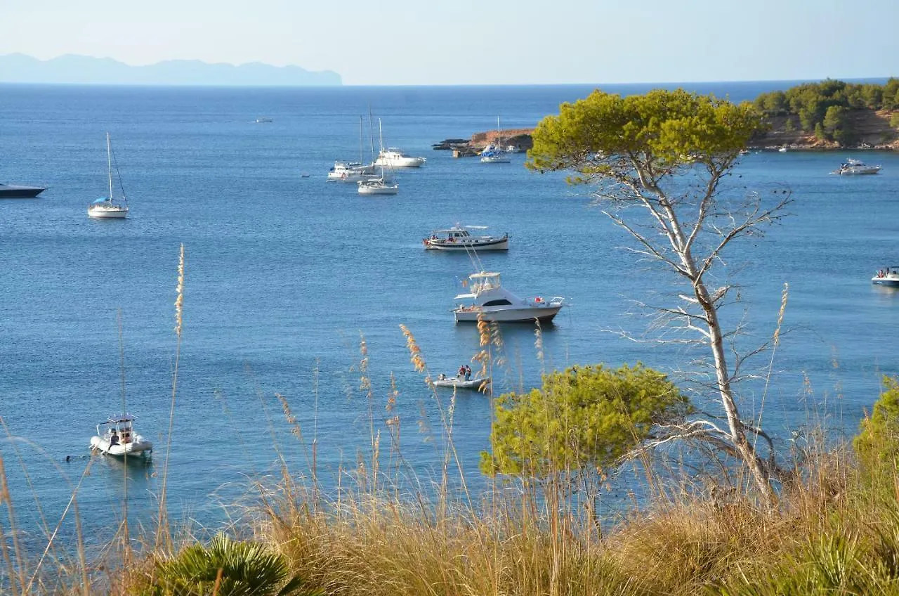 Holiday home Carrasqueta Villa Port de Alcudia  Spain