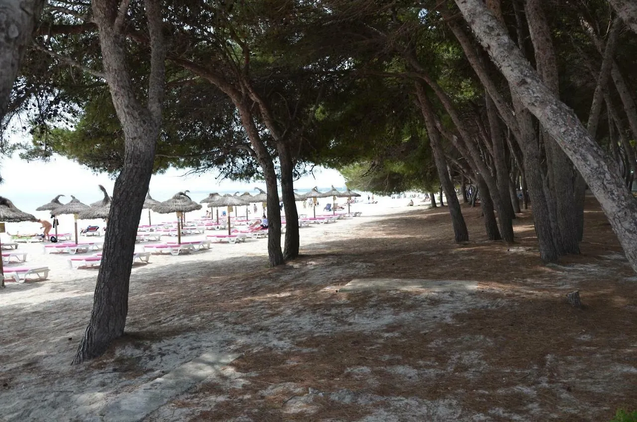 Holiday home Carrasqueta Villa Port de Alcudia
